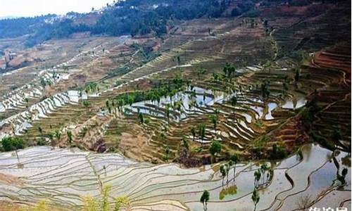 红河景点最值得去的地方在哪里_红河景点最值得去的地方在哪里呢