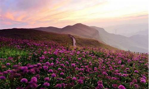 毕节韭菜坪旅游攻略_毕节韭菜坪旅游攻略一日游