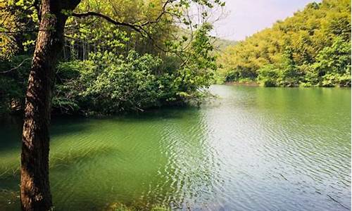 南京石塘竹海_南京石塘竹海民宿