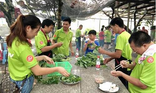 欢乐农庄电视连续剧免费观看_欢乐农庄