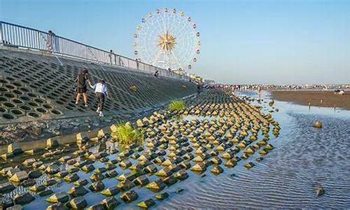 奉贤赶海时间表2021_奉贤赶海大庆旅游团怎么样