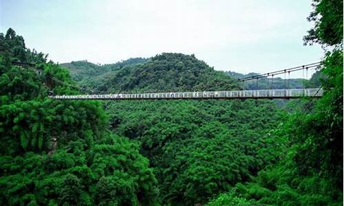 川西竹海峡谷自然景区_川西竹海风景