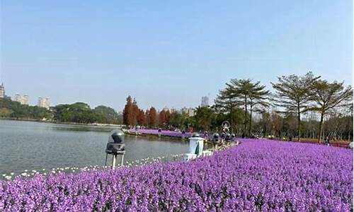 佛山顺峰山公园花海_佛山顺峰山公园哪个是正门