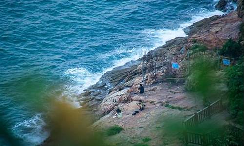 大连海之韵公园晨曦沙滩_大连海之韵公园晨曦沙滩的流浪猫