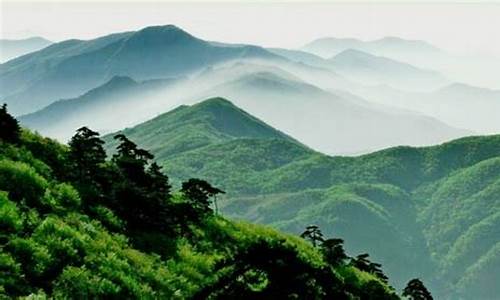 天目山旅游攻略成都_天目山旅游攻略成都游玩