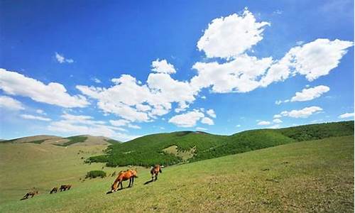 丰宁坝上草原旅游攻略马蜂窝博客_丰宁坝上草原游玩攻略