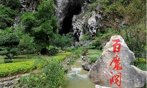 南宁巴马旅游景点_南宁巴马旅游景点介绍