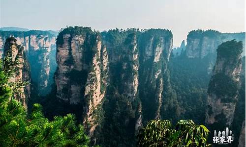 中国热门景点张家界排行榜_中国热门景点张家界排行榜最新